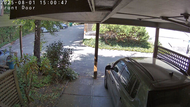 snapshot-202508011150058.jpg