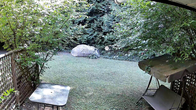 snapshot-202508011150403.jpg